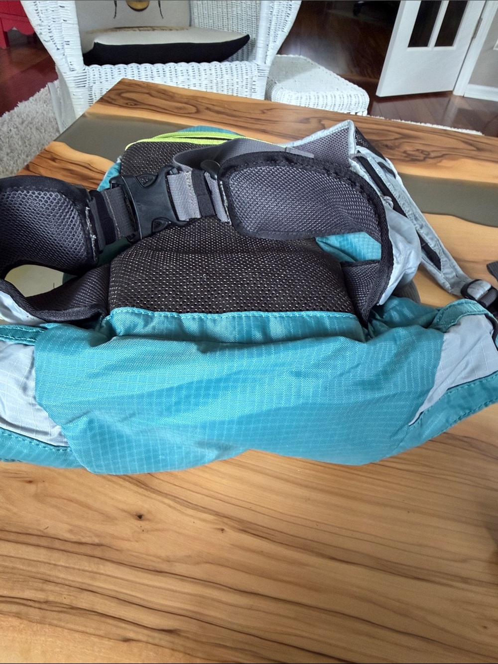 REI Teal and Gray Daypack with Lime Trim - Picture 3 of 4